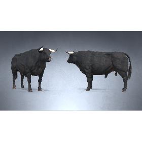 Bull PBR(1) model